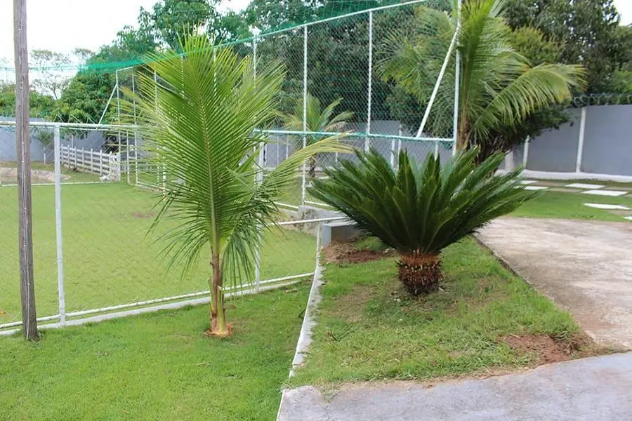 Área externa da Clínica Algo Novo, em Nova Serrana - MG